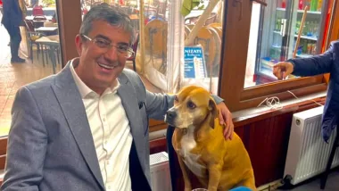 Heybeliada Çalışması