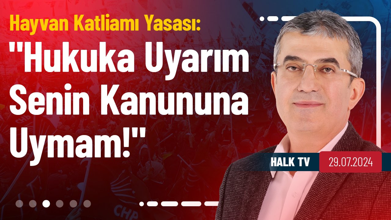 "Kanlı Yasa"nın uygulanma ihtimali yok, 4 milyon hayvan hangi barınakta tutulacak?