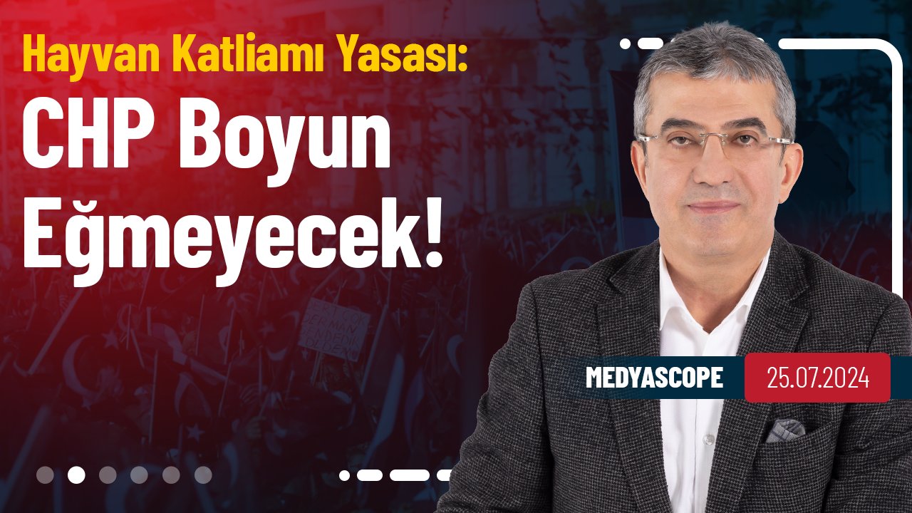 AKP'nin Hayvan Katliamı Yasası: AKP'li Seçmen de Karşı Çıkıyor