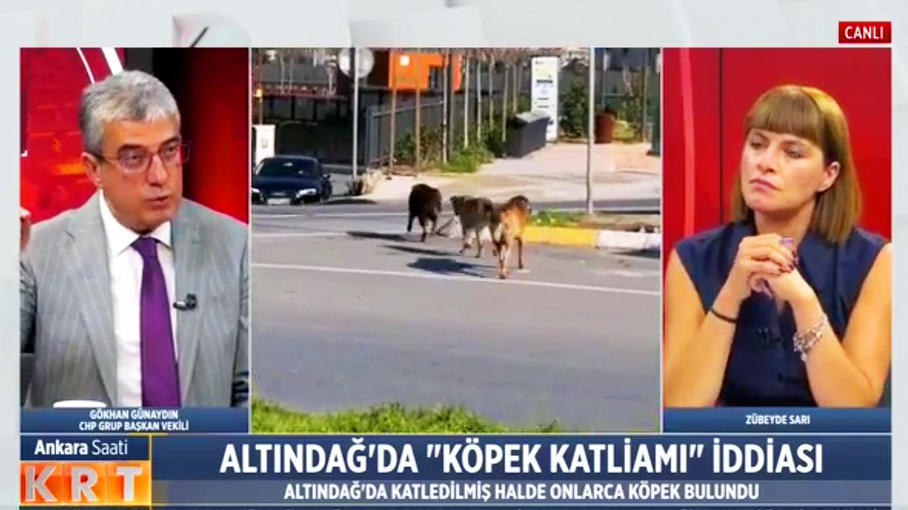 Köpek Katliamı: Önce Niğde Şimdi Altındağ!