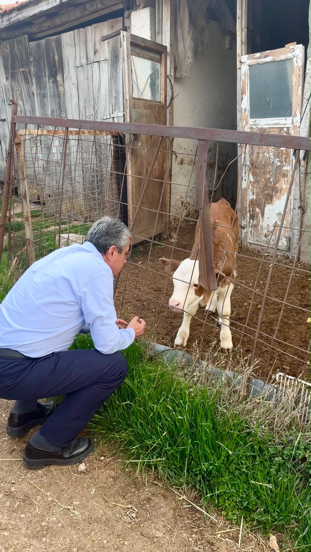 Görseli seçmek için tıklayın; sürükleyebilir veya Delete tuşuyla silebilirsiniz. Gökhan Günaydın